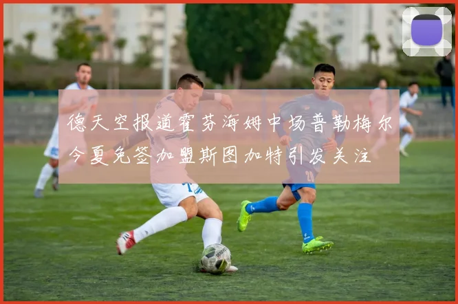 德天空报道霍芬海姆中场普勒梅尔今夏免签加盟斯图加特引发关注