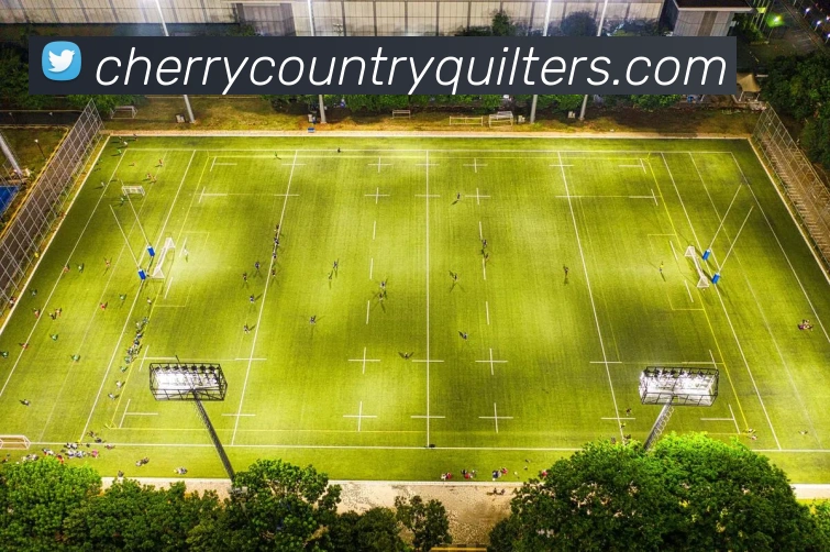 博鱼体育平台生态图